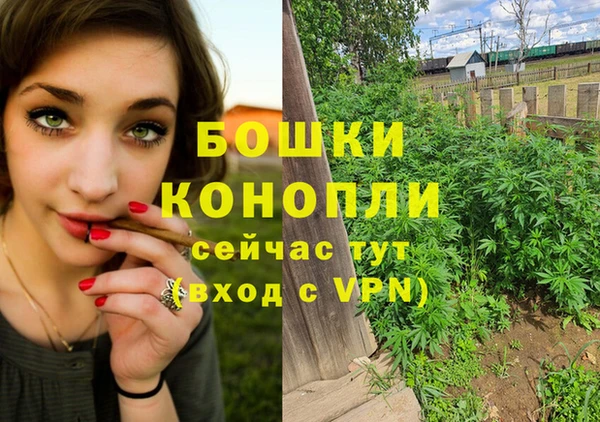 индика Нефтекумск