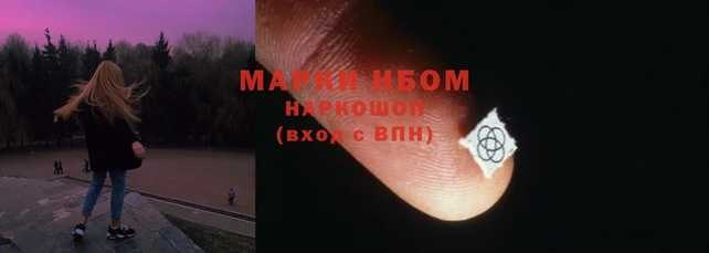 индика Нефтекумск